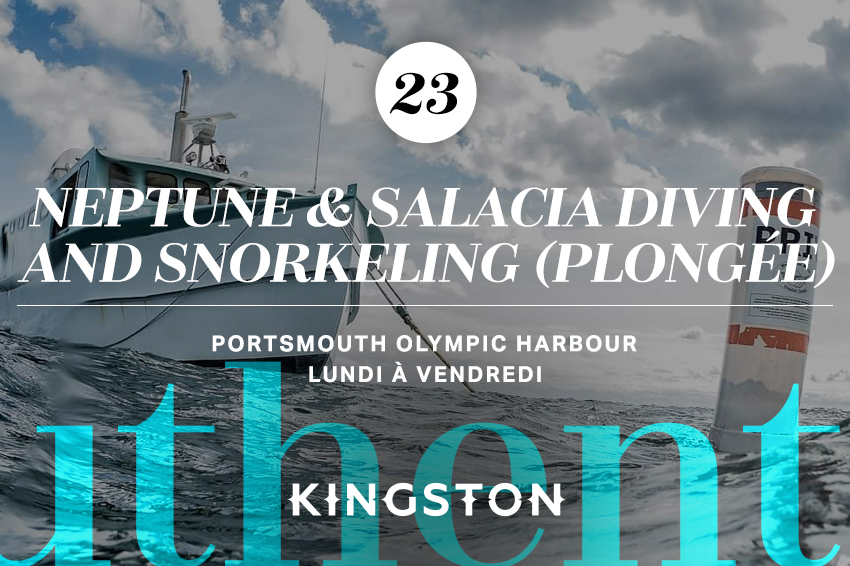 Neptune & Salacia Diving and Snorkeling (plongée)