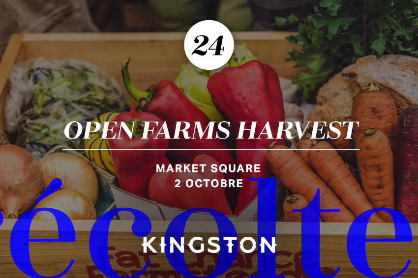 24. Open Farms Harvest Market Square 2 octobre