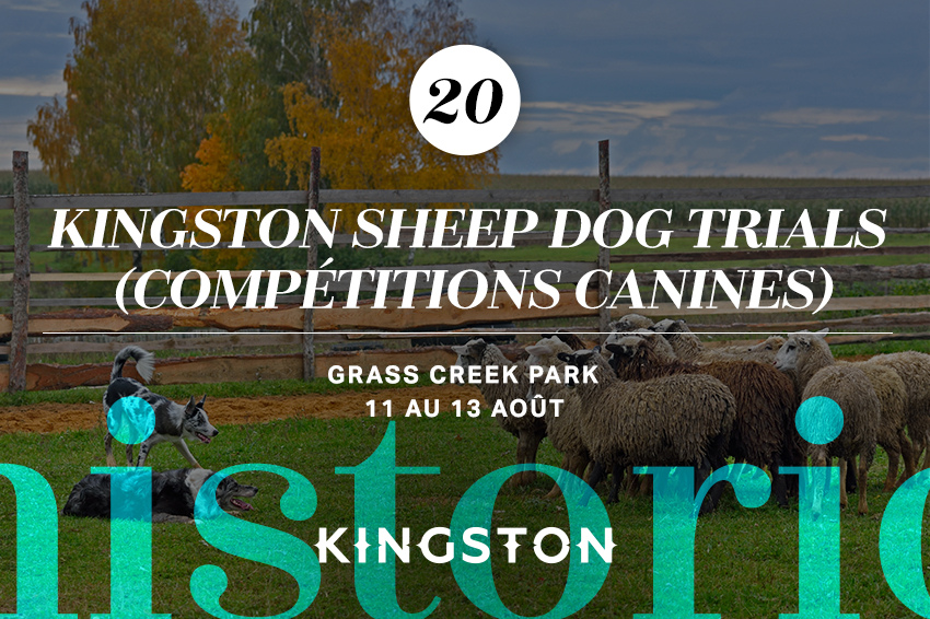Kingston Sheep Dog Trials (compétitions canines)