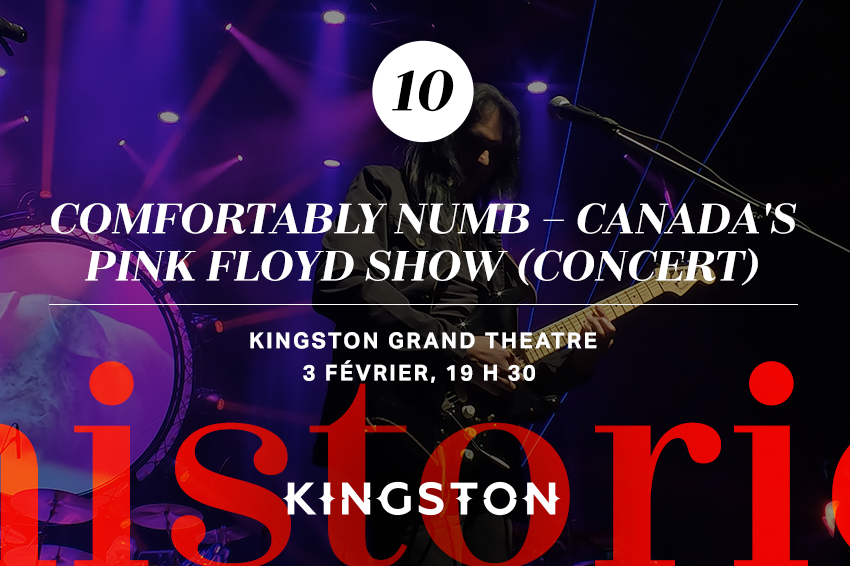 10. Comfortably Numb – Canada's Pink Floyd Show (concert)