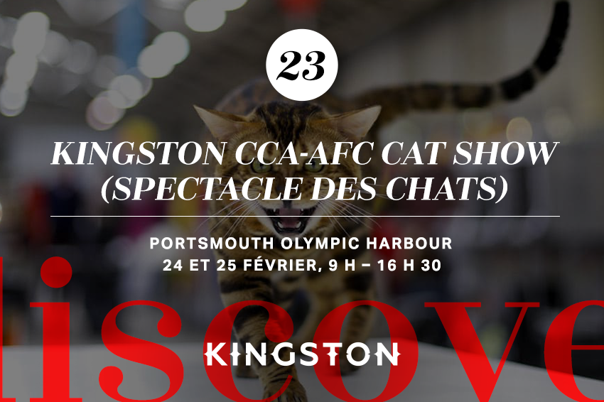 23. Kingston CCA-AFC Cat Show (spectacle des chats)