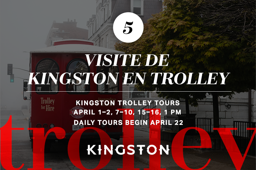 5. Visite de Kingston en trolley